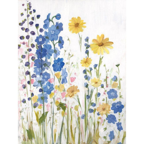 Periwinkle Wildflowers I Black Modern Wood Framed Art Print by Iafrate, Sandra