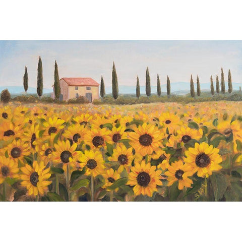 Tuscan Memories I Black Modern Wood Framed Art Print with Double Matting by Iafrate, Sandra