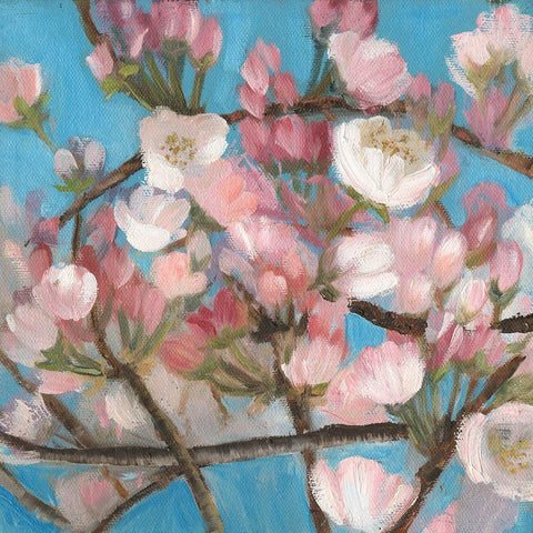 Cherry Blossoms I Black Modern Wood Framed Art Print by Iafrate, Sandra
