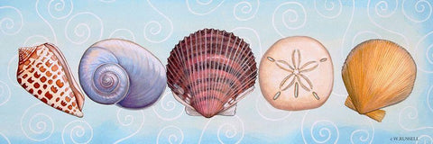 2-UP Sea Dwellers I White Modern Wood Framed Art Print with Double Matting by Russell, Wendy