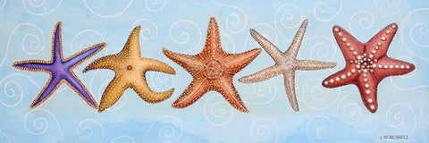 2-UP Sea Dwellers II White Modern Wood Framed Art Print with Double Matting by Russell, Wendy