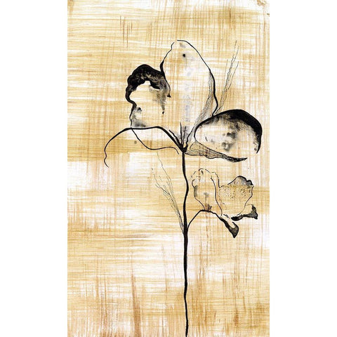Gilded Beauty I Gold Ornate Wood Framed Art Print with Double Matting by Liama, Lily