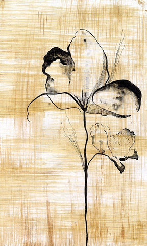 Gilded Beauty I Black Ornate Wood Framed Art Print with Double Matting by Liama, Lily