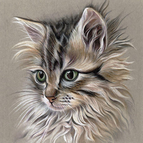 Kitten Portrait I Black Modern Wood Framed Art Print with Double Matting by Liama, Lily