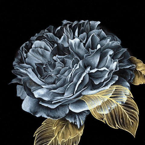 River Roses I Black Modern Wood Framed Art Print with Double Matting by Liama, Lily