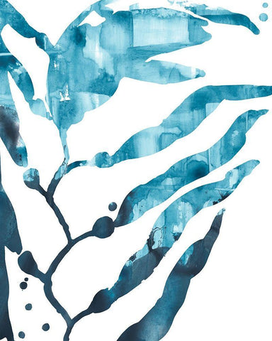 Inkwash Kelp I White Modern Wood Framed Art Print with Double Matting by Vess, June Erica