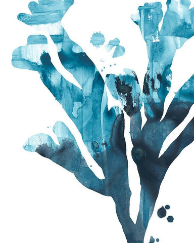 Inkwash Kelp II White Modern Wood Framed Art Print with Double Matting by Vess, June Erica