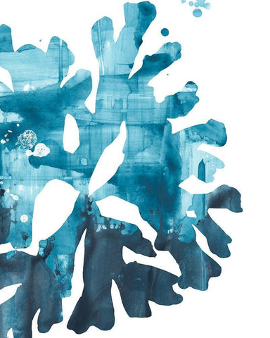 Inkwash Kelp III Black Ornate Wood Framed Art Print with Double Matting by Vess, June Erica