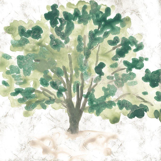 Image Only