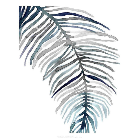 Blue Feathered Palm II Black Modern Wood Framed Art Print with Double Matting by Scarvey, Emma