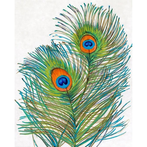 Vivid Peacock Feathers I White Modern Wood Framed Art Print by OToole, Tim