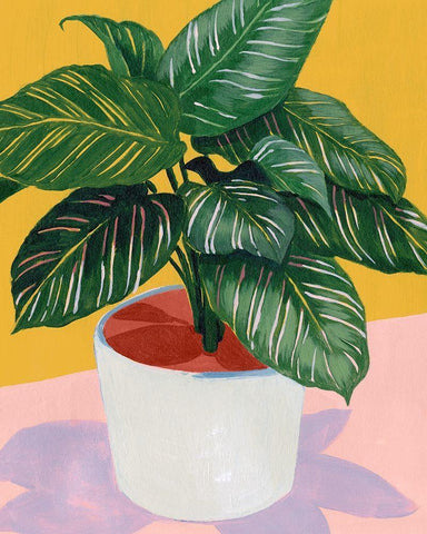 Calethea I White Modern Wood Framed Art Print with Double Matting by Popp, Grace