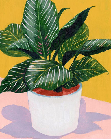 Calethea II White Modern Wood Framed Art Print with Double Matting by Popp, Grace