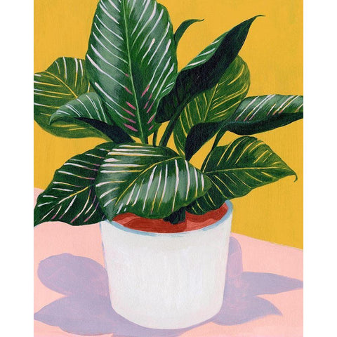 Calethea II White Modern Wood Framed Art Print by Popp, Grace