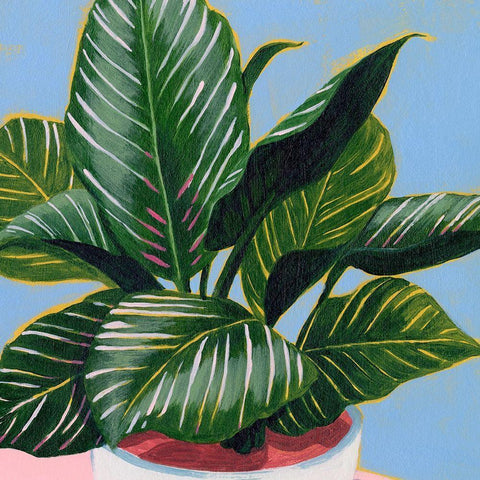 Calethea III Black Modern Wood Framed Art Print with Double Matting by Popp, Grace