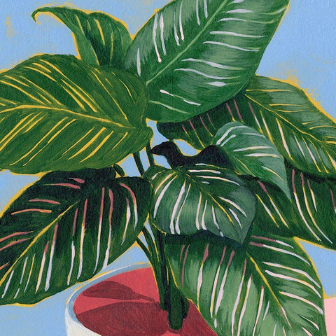 Calethea IV Black Modern Wood Framed Art Print by Popp, Grace