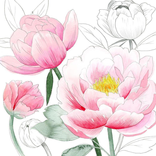 Image Only