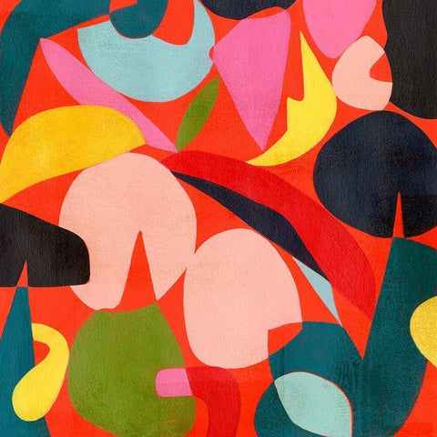 Tomato Prism I Black Modern Wood Framed Art Print with Double Matting by Popp, Grace