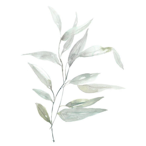 Ethereal Eucalyptus II Black Modern Wood Framed Art Print with Double Matting by Goldberger, Jennifer