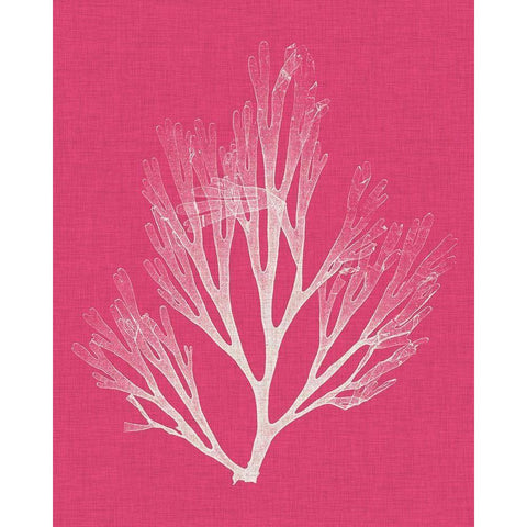 Seaweed Pop III White Modern Wood Framed Art Print by Vision Studio