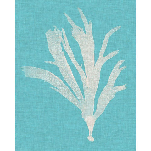 Seaweed Pop IV Black Modern Wood Framed Art Print with Double Matting by Vision Studio