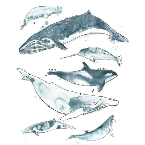 3-UP Cetacea I Black Modern Wood Framed Art Print by Vess, June Erica