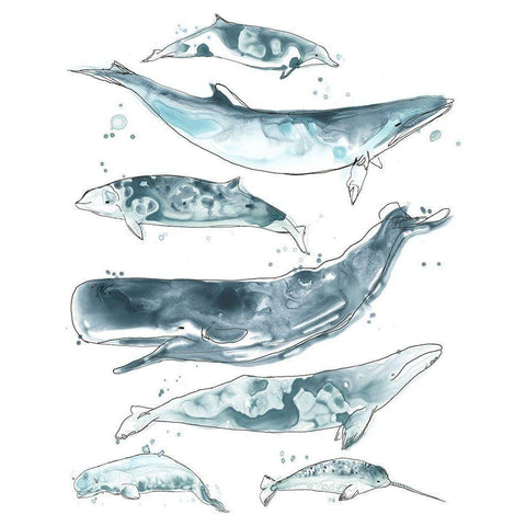 3-UP Cetacea II Black Modern Wood Framed Art Print with Double Matting by Vess, June Erica