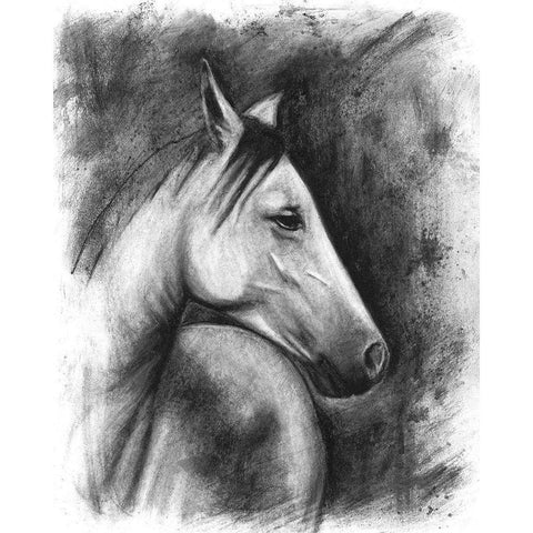 3-UP Charcoal Equestrian Portrait I White Modern Wood Framed Art Print by McCavitt, Naomi