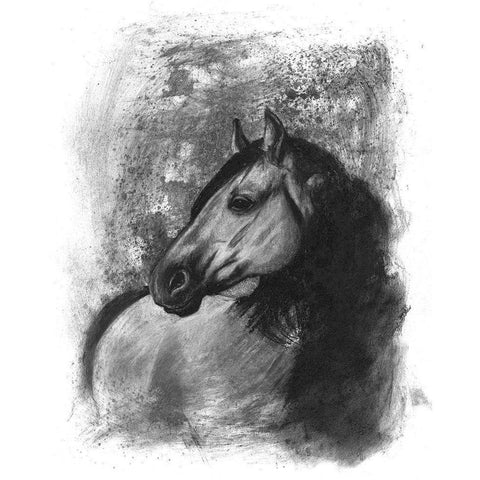 3-UP Charcoal Equestrian Portrait IV White Modern Wood Framed Art Print by McCavitt, Naomi