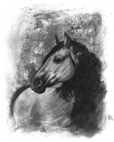 3-UP Charcoal Equestrian Portrait IV White Modern Wood Framed Art Print with Double Matting by McCavitt, Naomi