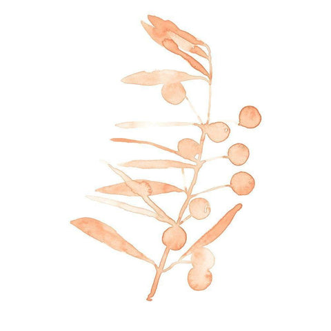 Blush Olive Branch III White Modern Wood Framed Art Print by Scarvey, Emma