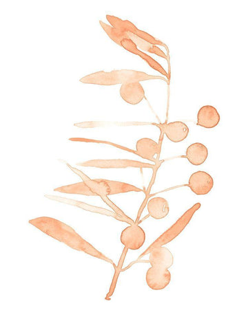Blush Olive Branch III White Modern Wood Framed Art Print with Double Matting by Scarvey, Emma