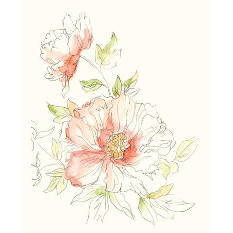 Watercolor Floral Variety I Black Modern Wood Framed Art Print with Double Matting by Harper, Ethan