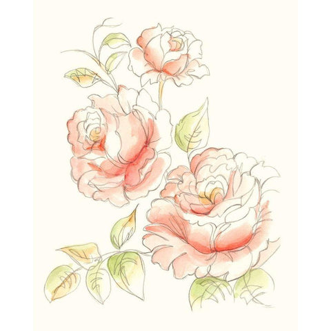 Watercolor Floral Variety IV Black Modern Wood Framed Art Print with Double Matting by Harper, Ethan