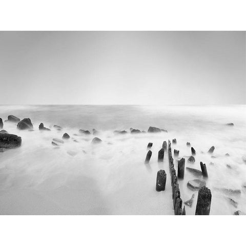 Black and White Water III Gold Ornate Wood Framed Art Print with Double Matting by McLoughlin, James