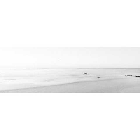 Black and White Water Panel II Black Modern Wood Framed Art Print with Double Matting by McLoughlin, James