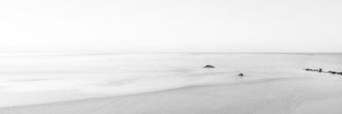 Black and White Water Panel II Black Ornate Wood Framed Art Print with Double Matting by McLoughlin, James