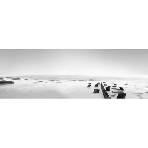 Black and White Water Panel III Black Modern Wood Framed Art Print with Double Matting by McLoughlin, James