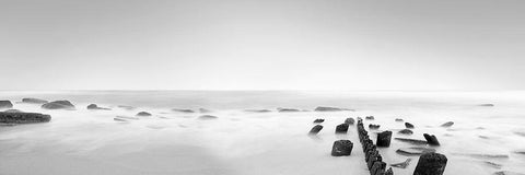 Black and White Water Panel III White Modern Wood Framed Art Print with Double Matting by McLoughlin, James