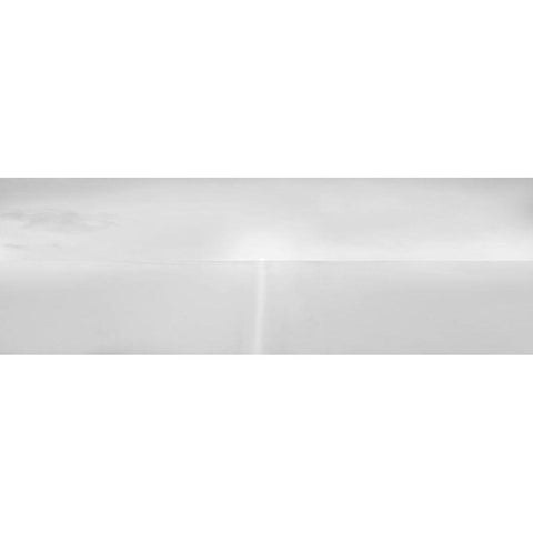 Black and White Water Panel IV Gold Ornate Wood Framed Art Print with Double Matting by McLoughlin, James