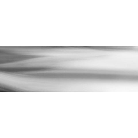 Black and White Water Panel VII White Modern Wood Framed Art Print by McLoughlin, James