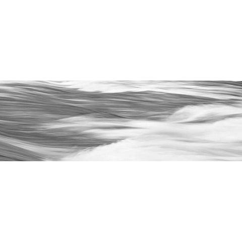 Black and White Water Panel X Gold Ornate Wood Framed Art Print with Double Matting by McLoughlin, James