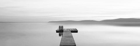 Black and White Water Panel XII Black Ornate Wood Framed Art Print with Double Matting by McLoughlin, James