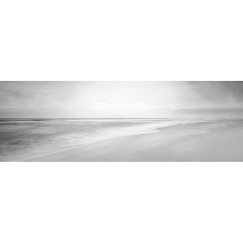 Black and White Water Panel XIII White Modern Wood Framed Art Print by McLoughlin, James