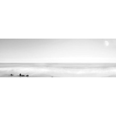 Black and White Water Panel XIV Black Modern Wood Framed Art Print with Double Matting by McLoughlin, James