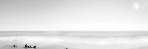 Black and White Water Panel XIV White Modern Wood Framed Art Print with Double Matting by McLoughlin, James