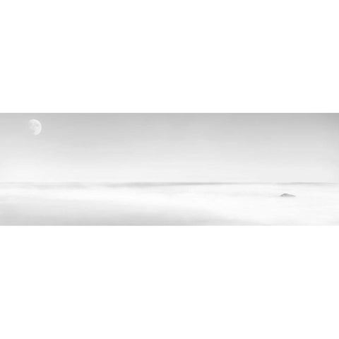 Black and White Water Panel XV Gold Ornate Wood Framed Art Print with Double Matting by McLoughlin, James