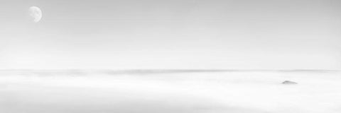 Black and White Water Panel XV White Modern Wood Framed Art Print with Double Matting by McLoughlin, James