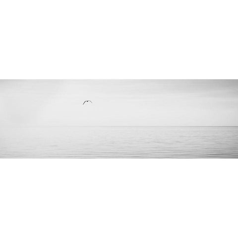 Black and White Water Panel XVI White Modern Wood Framed Art Print by McLoughlin, James