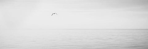 Black and White Water Panel XVI White Modern Wood Framed Art Print with Double Matting by McLoughlin, James